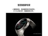 ΪHUAWEI WATCH 4Proľ48mmŻݼ2210Ԫ