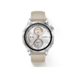 ΪWATCH GT5ֱɽҿ