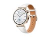 ΪWATCH GT5ֱʱػ