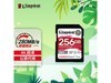 ʿ256GB SD539Ԫ