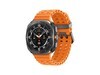Galaxy Watch Ultra LTE澩4399Ԫ