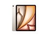 Apple iPad Air 7 M313ӢƽŻݴ
