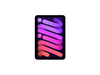Apple iPad mini 73099Ԫ