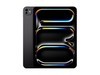 iPad Pro 2025132TB