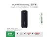 ΪSound Joy 2ʱŻ