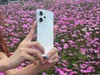 ù֪ʵiPhoneǿ̫