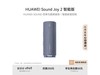 ΪSound Joy 2899Ԫ