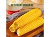 ١��������Ŵ����8��װ��ԭ��16.9��ȯ��11.9Ԫ��