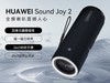ΪSound Joy28ۣ679Ԫ
