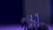 EquiMagic - Galashow of Horses