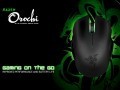 2013ϵ¶ Razer¿᪴