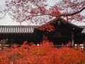 枫叶之城 佳能G9X II秋季京都拍摄之旅