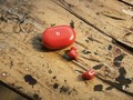 一定要买 Beats Studio buds 的五个理由