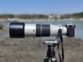 富士X-H2S+150-600mm挑战生态鸟类摄影