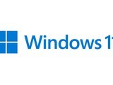 Windows 11¸·Ϸ½ ˵Ӧ