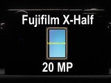 ʿX-Half20001Ӣ紫