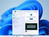 ΢Windows 11