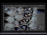  ʿӦƻAirPodsApple WatchMacBook
