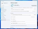΢ͣWin11 24H2