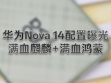 Ϊnova 14ع⣺Ѫ+Ѫ