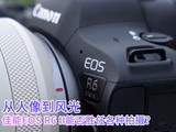 񵽷 EOS R6 Mark IIܷʤθ