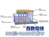 300+层 WD和铠侠研发新NAND