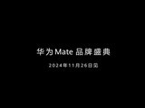 ΪMate X61126շ