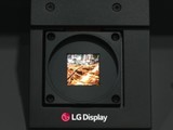  Highlights of SID2024: LGDisplay shows new breakthroughs in OLEDoS and transparent OLED for VR