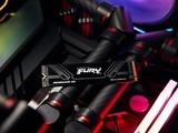 ʿFury Renegade G5 PCIe 5.0 SSDڼ