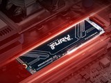 ʿFURY Renegade G5 8TB PCIe 5.0 SSD
