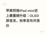 ƻ������iPad miniʷ�����ذ�������OLED���׷����＾�������Ǽ�