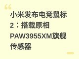 С�׷����羺���2������ԭ��PAW3955XM�콢������