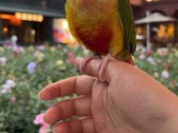 ƻ��ʵ����Ƭ�����Զ�ѡȡ�����飬�ٷ�����ֶ����÷���