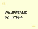 WisdPi����AMD Promontory 21 PCIe��չ����֧�ֶ�ӿ������M.2����