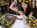 vivo S60Ԫ���淢����������ɫ������ֱ����AIӰ����IP68����ȫ���»�