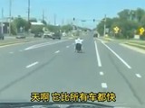 �����Ӽݸ�װ�綯�������64����/Сʱ������