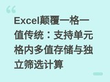 Excel�߸�һ��һֵ��ͳ��֧�ֵ�Ԫ���ڶ�ֵ�洢�����ɸѡ����