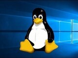 Windows 10ͣϷûתLinux