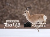 һµĻԭʫƪ ʿGFX100 II̬Ӱ