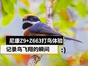 ��¼������˲�� �῵Z9+Z600mm f/6.3 VR S��ͷ��̬��Ӱ����