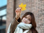 ʵô泬Ȧ OPPO Reno15ϵʵжǿ 