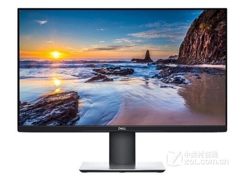 (dell) P2319H