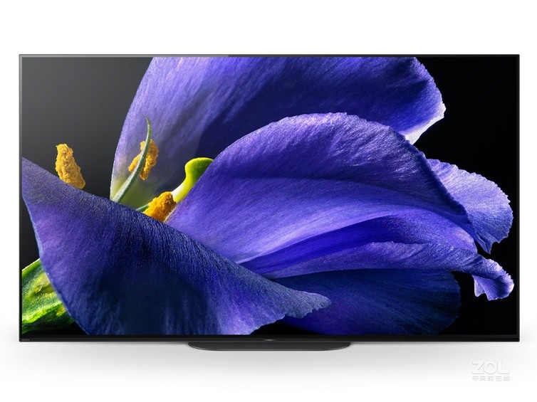 ����ʽ�Ӿ�ʢ�磺רҵ�����ߵ�OLED֮ѡ