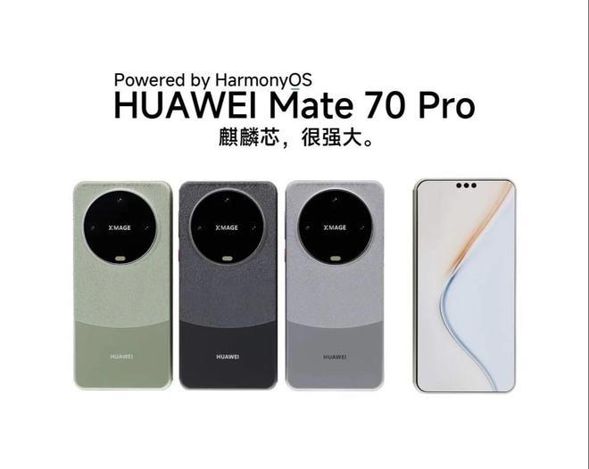 ԣΪMate70¾