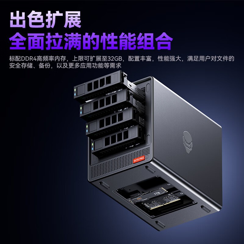 챵WTR PRO NASֱ300