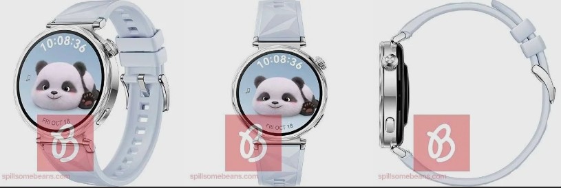 ΪWatch GT 5ֱȾͼع⣬˫ߴƴȫ½׷ټ