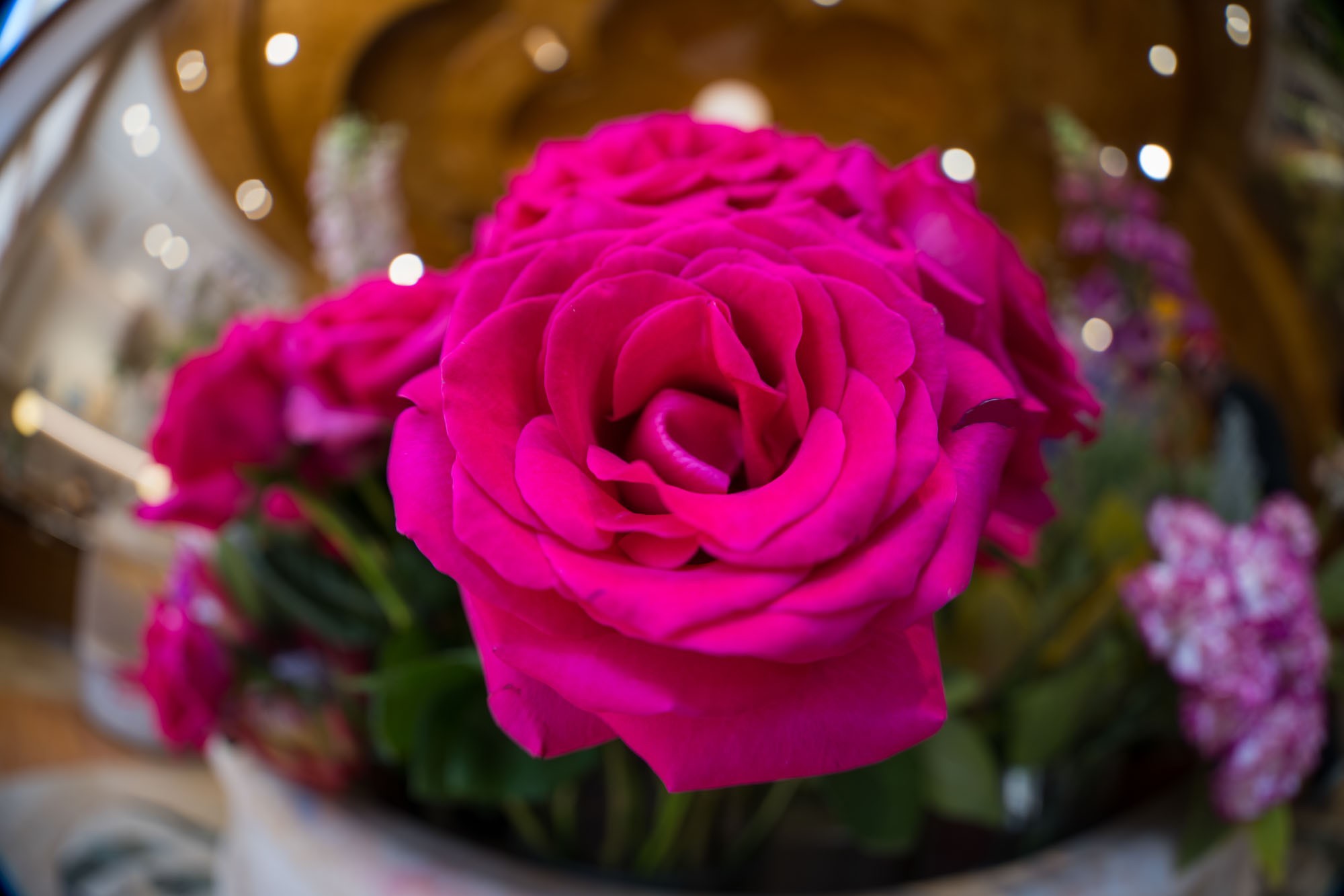 ۾ͷµ FF II 8-15mm F2.8Ǳ佹۾ͷ