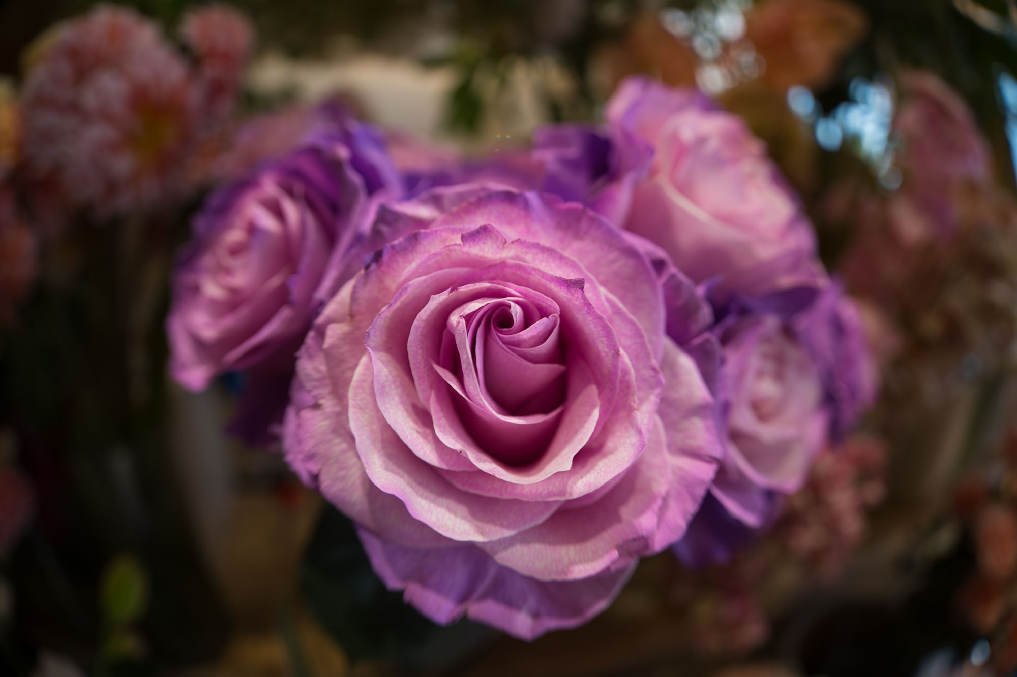۾ͷµ FF II 8-15mm F2.8Ǳ佹۾ͷ