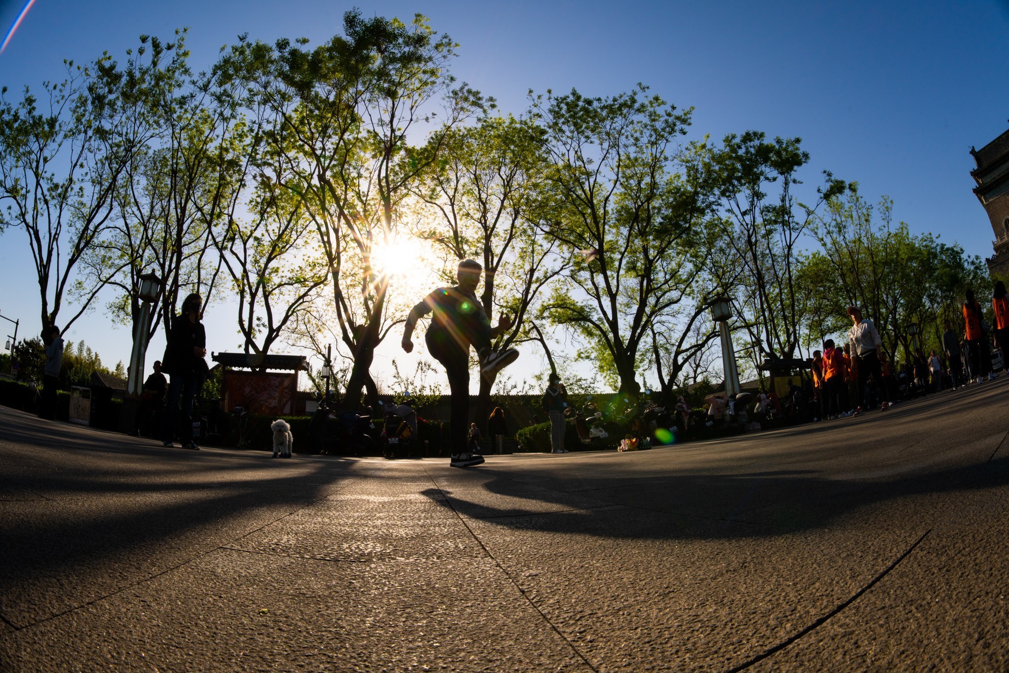 ۾ͷµ FF II 8-15mm F2.8Ǳ佹۾ͷ