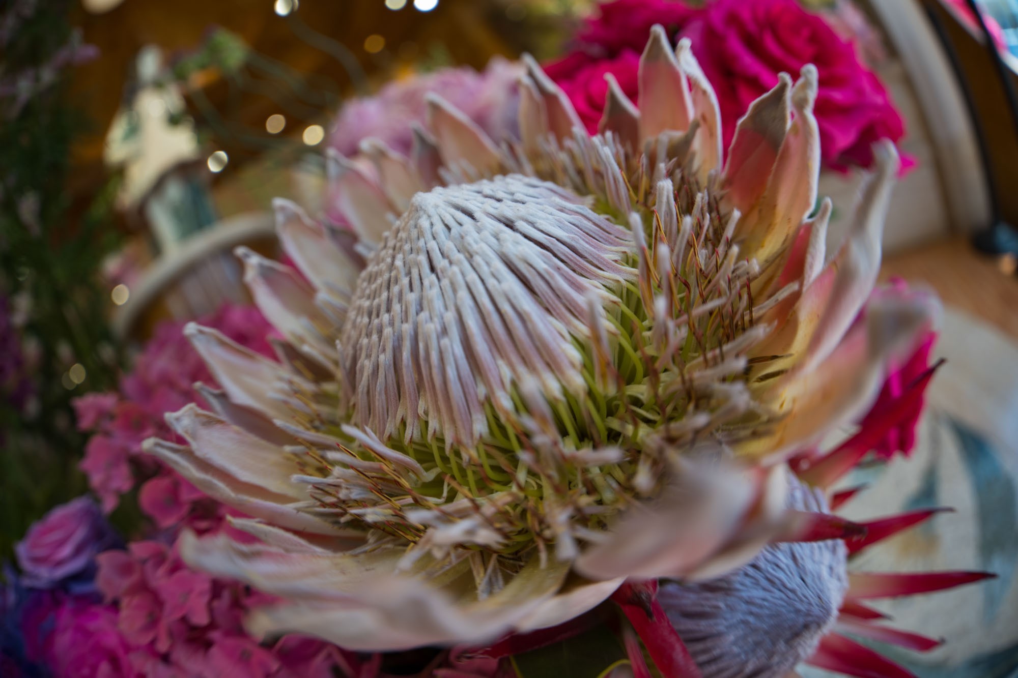 ۾ͷµ FF II 8-15mm F2.8Ǳ佹۾ͷ